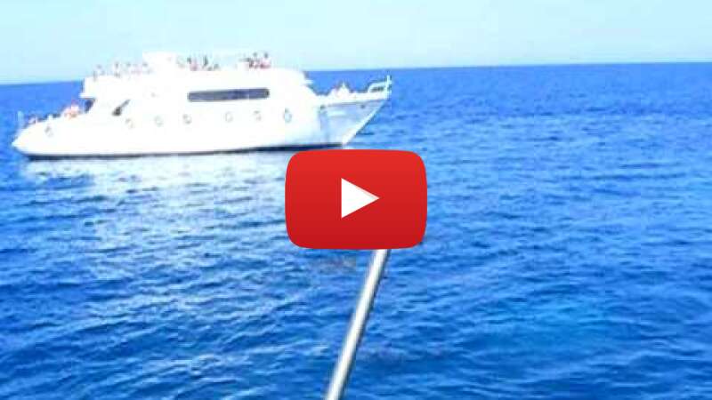 Video 5dX9FTIp04w abspielen