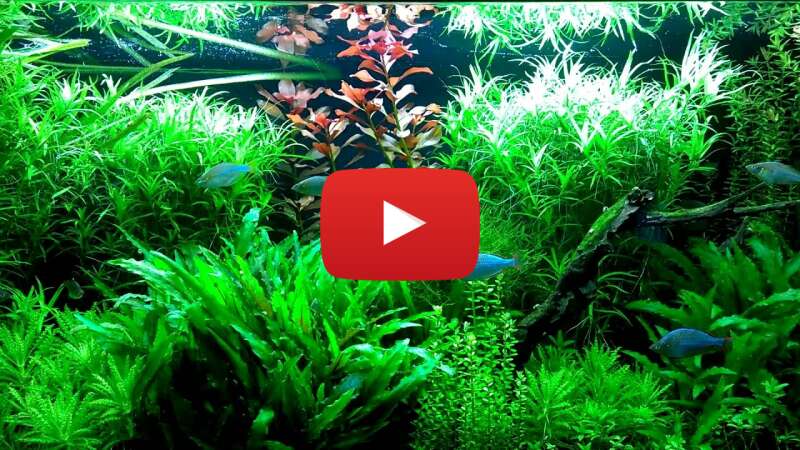 Video 5ilr2CxyuIE abspielen