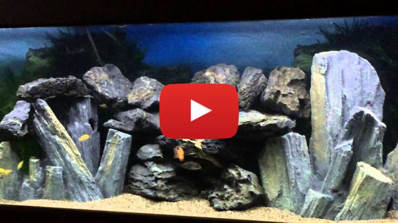 Video 5qEGTm5MiY0 abspielen