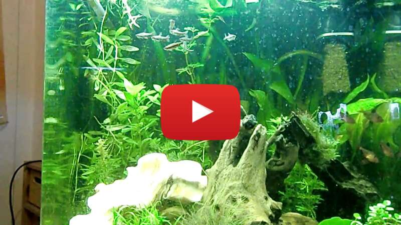 Video 5y72tOK7d-8 abspielen