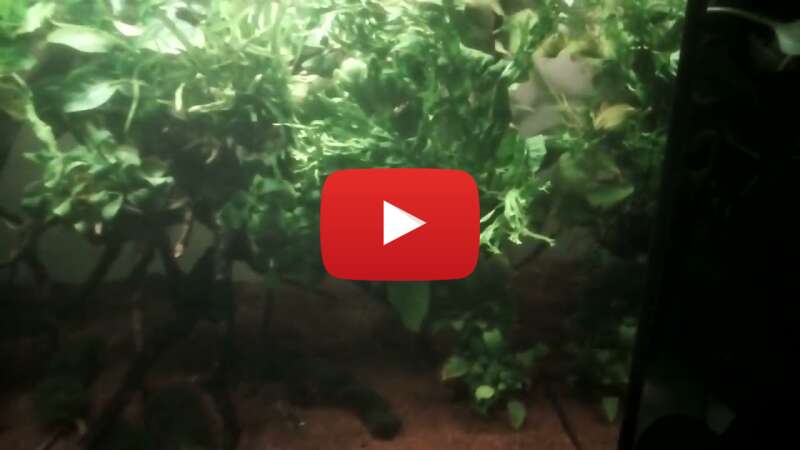 Video 6RNGXXJUdew abspielen