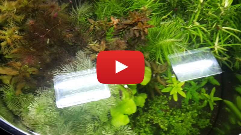 Video 6XR43ySnuZw abspielen