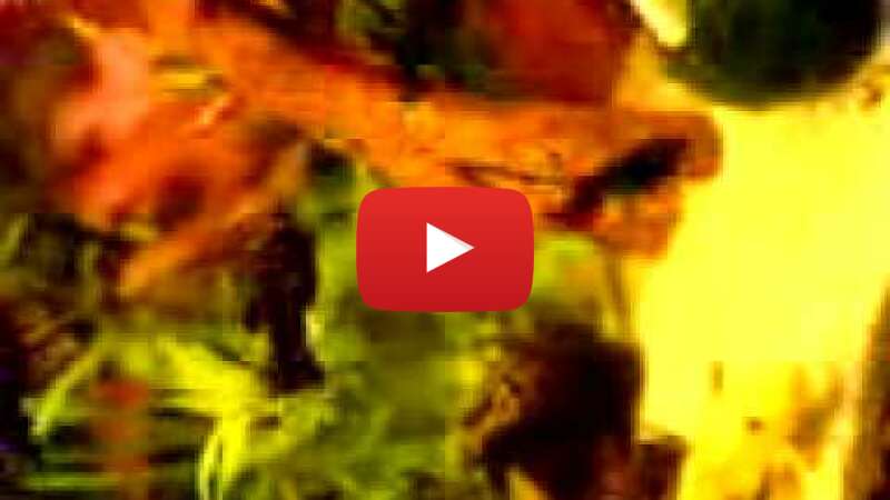 Video 6lmrW1dRj6Q abspielen