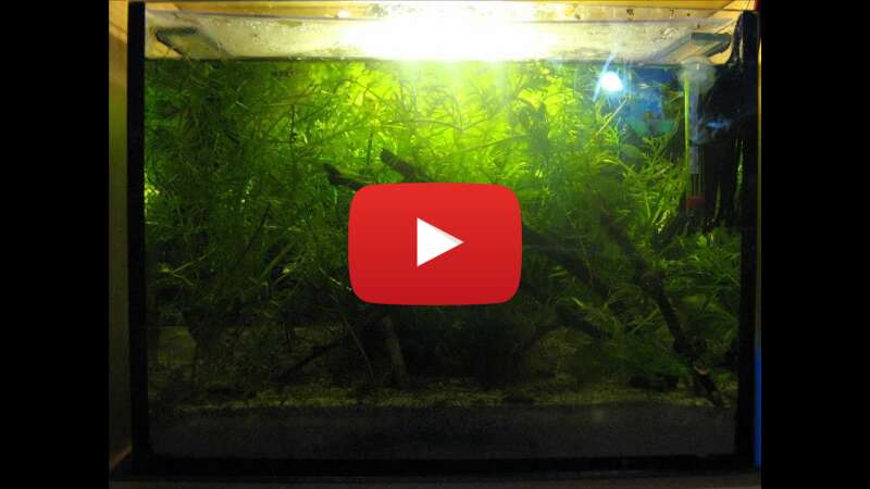 Video 6p8-IllMA34 abspielen