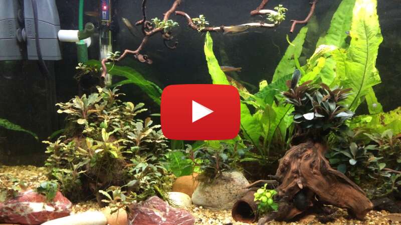 Video 6rImsHJKv0A abspielen