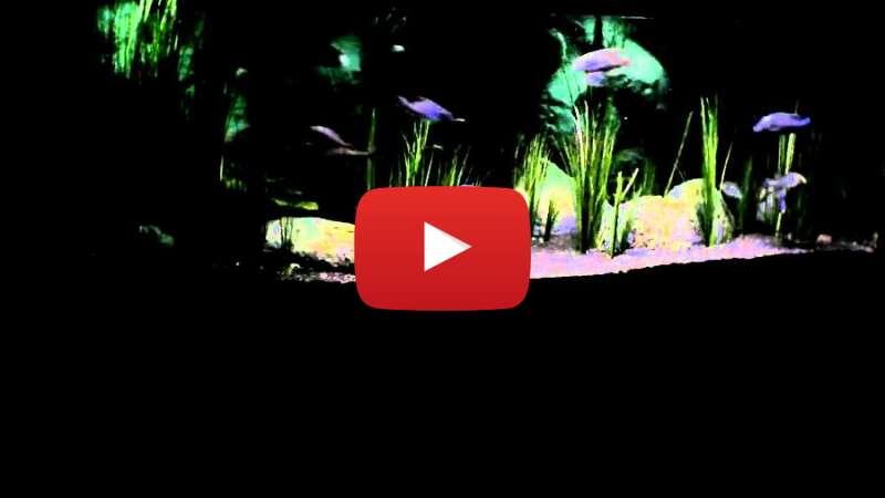 Video 6tdurzhN57U abspielen