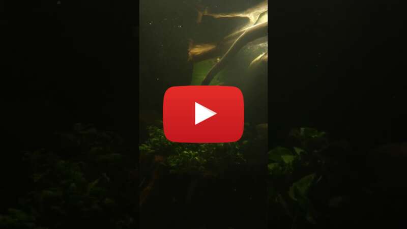 Video 6wTbXyD32JE abspielen