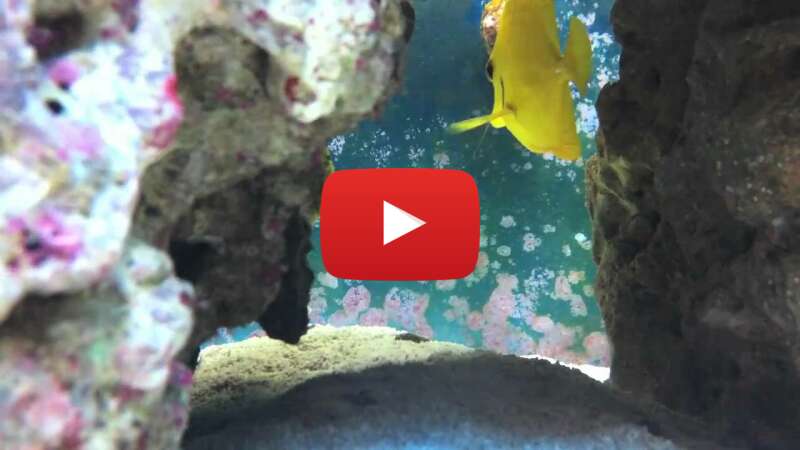 Video 6yXnjkmxlOU abspielen