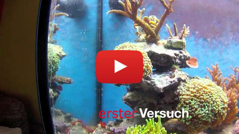 Video 73-OkzLj4FE abspielen