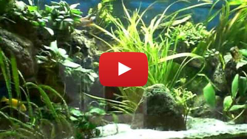 Video 78Kh2EBx-Xs abspielen