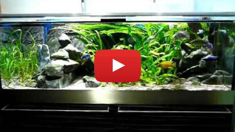 Video 7DmSzZ5zsHI abspielen