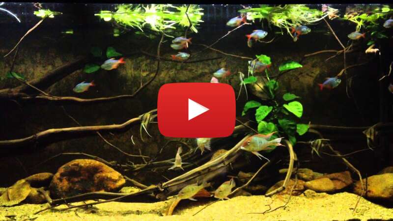 Video 7HDywUftMT4 abspielen