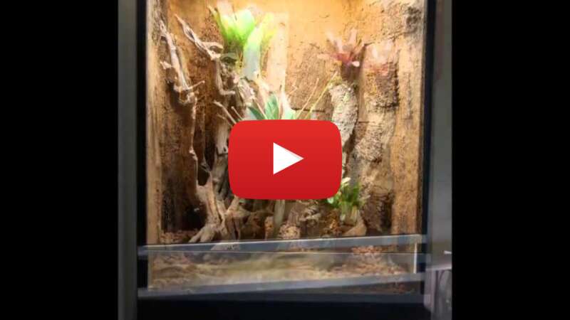 Video 7R2kuOTN0AQ abspielen