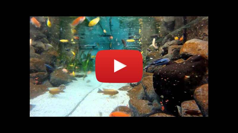 Video 7j2QC6H1qyA abspielen