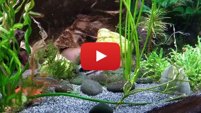 Video 7rMCtzspS5o abspielen