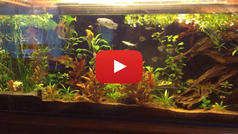 Video 858Jvi40V_Y abspielen