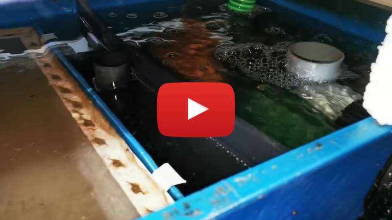 Video 87uZOgoUwaM abspielen