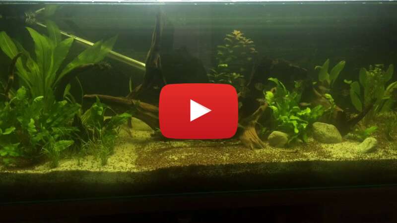 Video 8NHRb3Vl6d4 abspielen