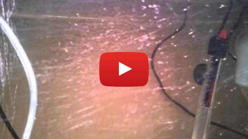 Video 8fFTFHXv-bs abspielen