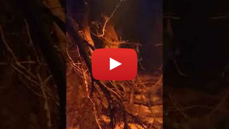 Video 8iOgx1mG-Qs abspielen