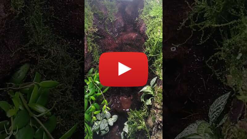 Video 8kG0OxNQrVM abspielen