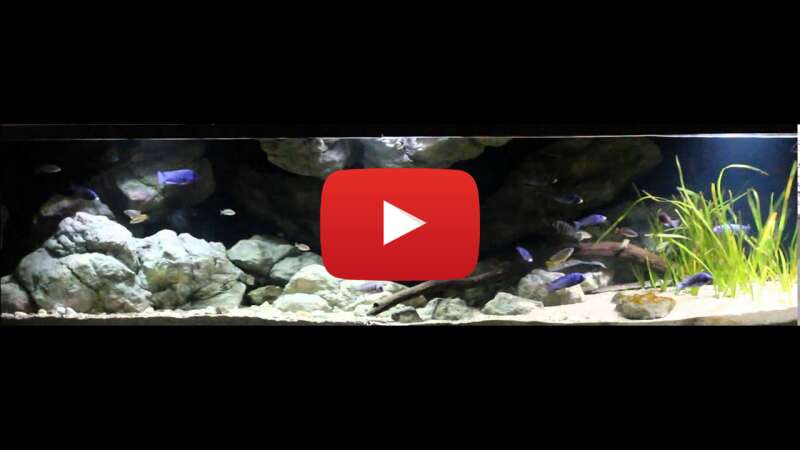 Video 8wRrC6BR-C4 abspielen