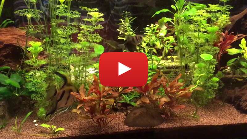 Video 90rBU1R2LXU abspielen