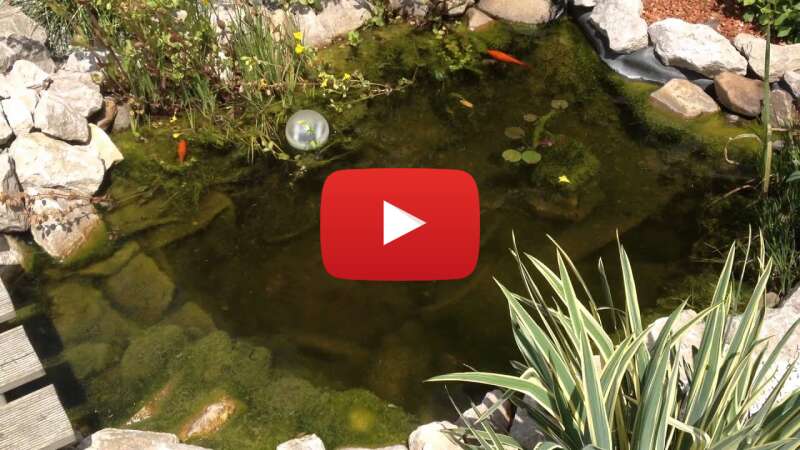 Video 94nmlvQ_Zs8 abspielen