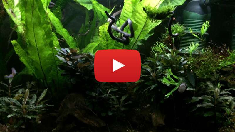 Video 9GeG9rsgw64 abspielen