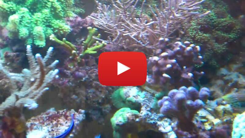 Video 9Rd3KZxsqKE abspielen