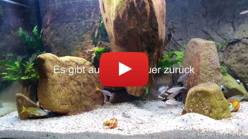 Video 9eFJ_7yw5YI abspielen