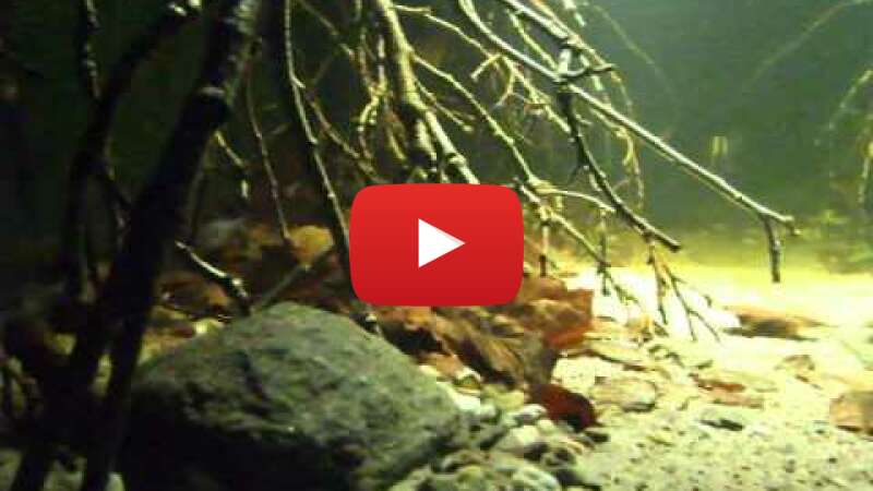 Video 9edGUMTkNhk abspielen