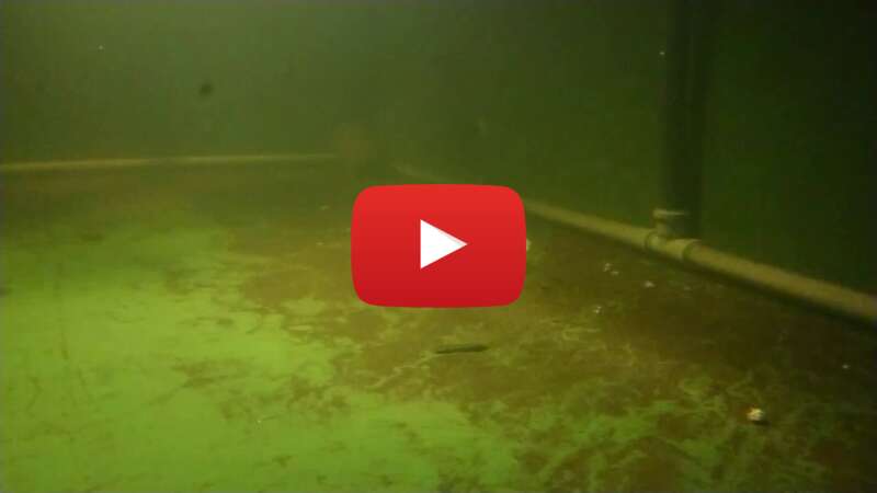 Video 9oAWBfjgFE0 abspielen