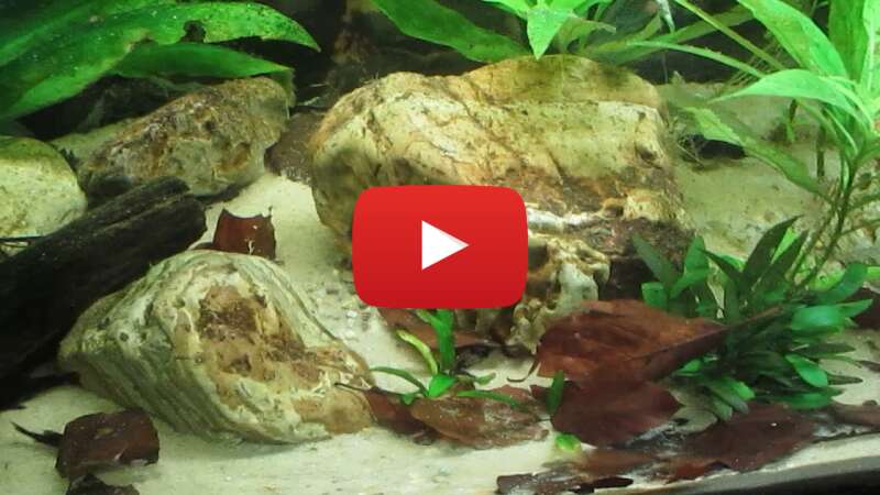 Video Aacr29b20w8 abspielen