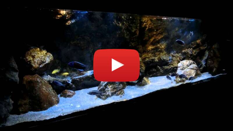 Video AsKAl-ychi0 abspielen