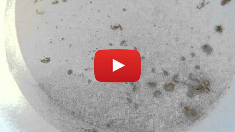 Video B4Ic7sKukZA abspielen