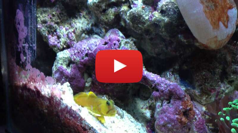 Video BUQv2zZFOaM abspielen