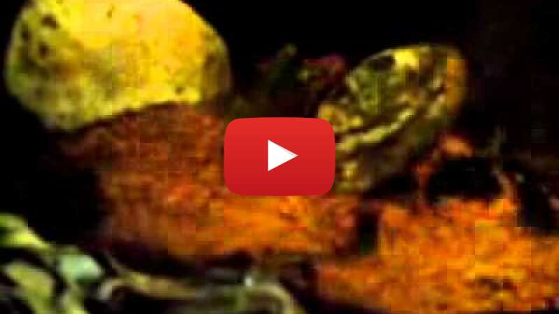 Video BdXL6VTUs_s abspielen