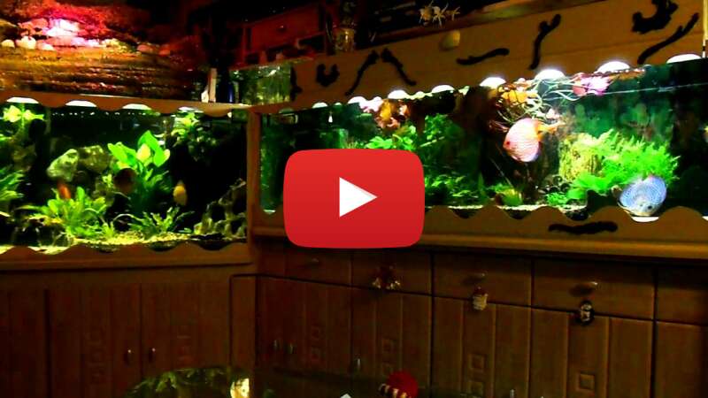 Video BmcB8dXSpOI abspielen