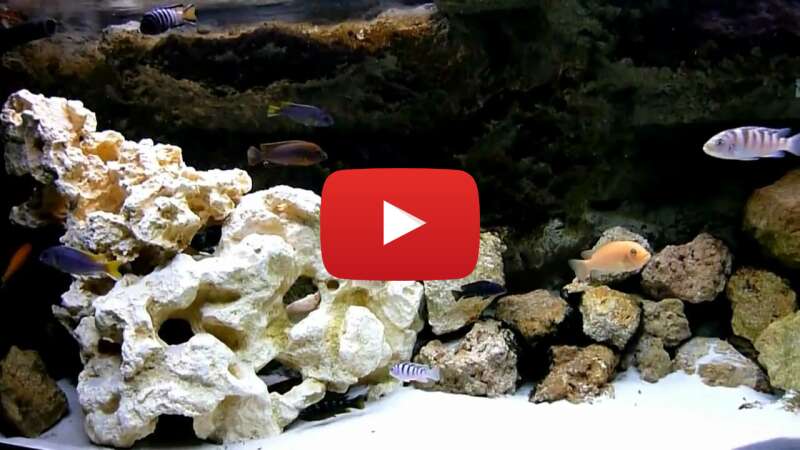 Video Btp3VY1bzCI abspielen