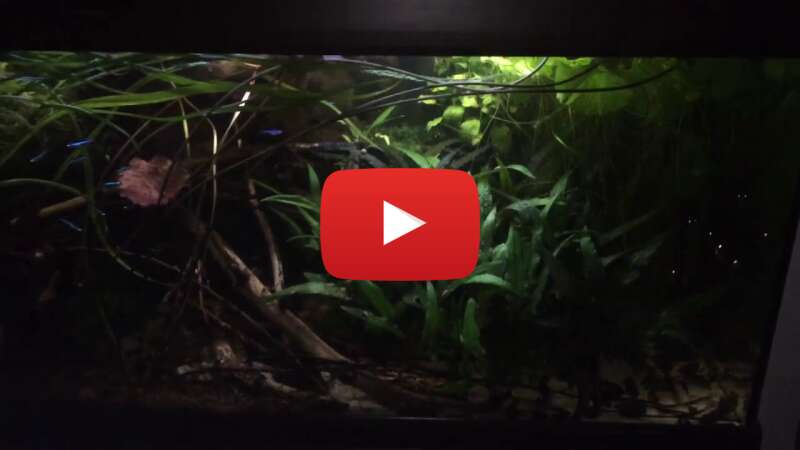 Video BtsTk1zkqh4 abspielen