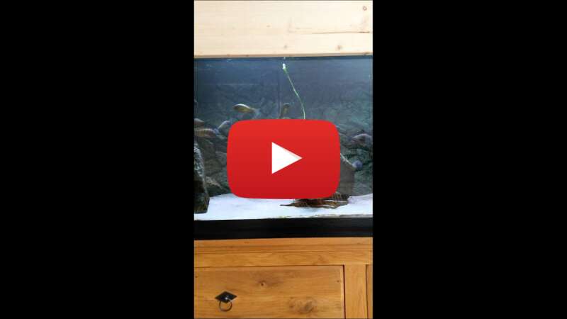 Video BuRxy5Wqr7E abspielen