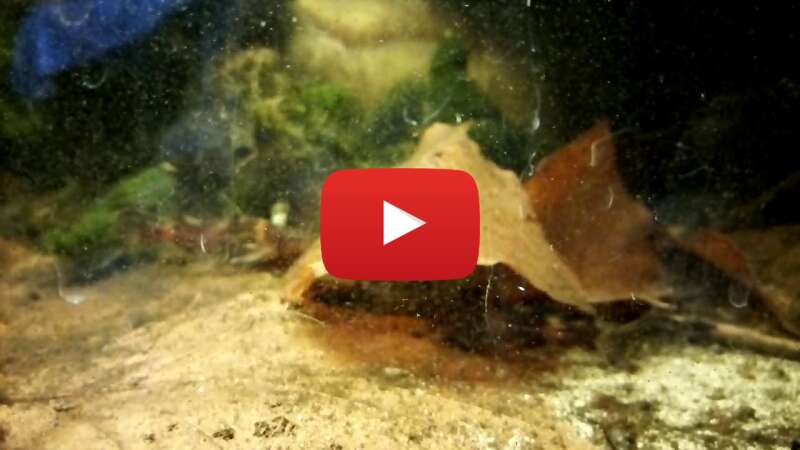 Video ByGHN-AhTXs abspielen