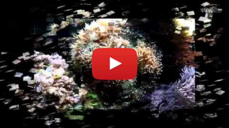 Video C5_Qsk35Xig abspielen