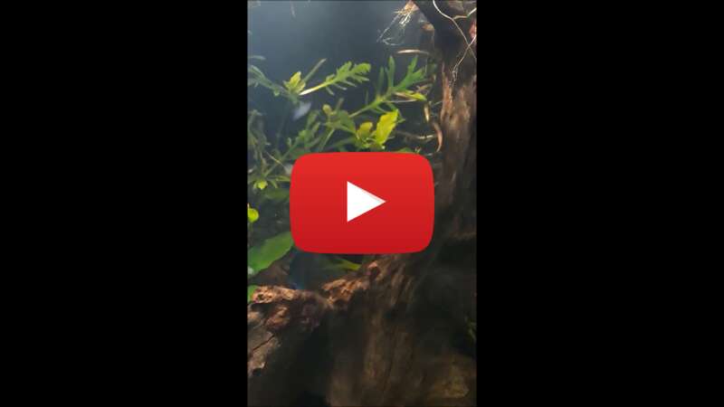 Video CrlgcjMwRVQ abspielen