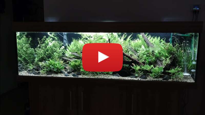 Video DJk6JvIFVIA abspielen