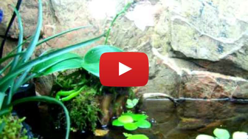 Video EKk6W_3QAZg abspielen