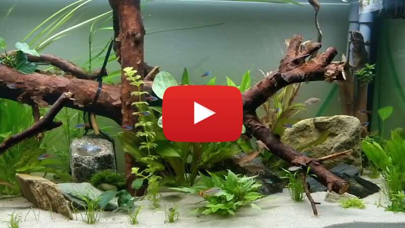 Video EQdn25qEc0w abspielen