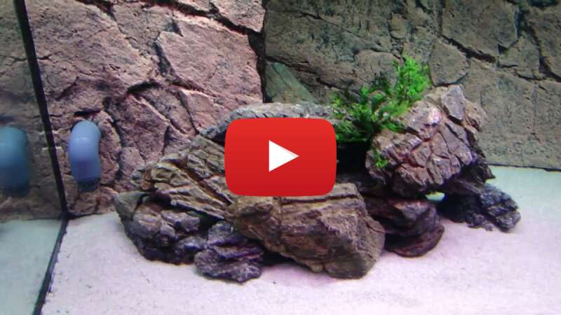 Video EfLogrOQ1uA abspielen