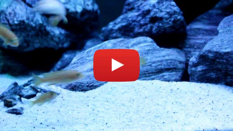 Video Eq_Gs9Y2kmk abspielen